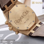 560300142_790528550627882_2104426513693971732_n-min